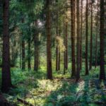 Training Natuur in de Omgevingswet